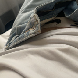 Rihards, 20