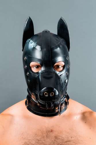 dog play (32 metai) (Nuotrauka!) ieškote BDSM (#4487680)